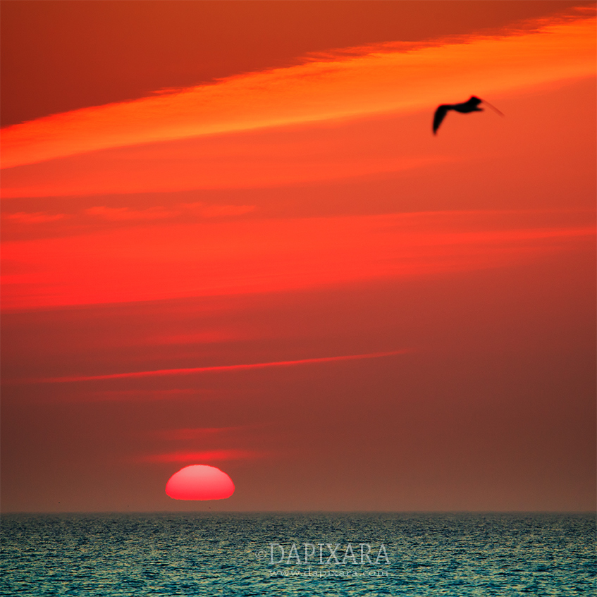 Sun Is Up in Chatham MA. Photo by Dapixara.