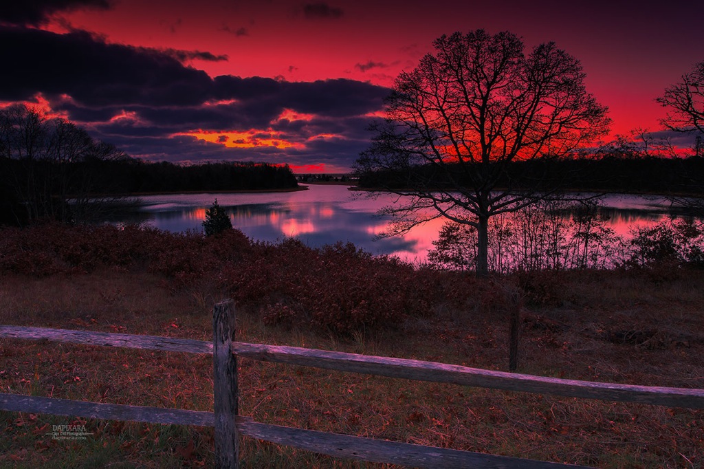 Today's sunrise on Salt Pond, Cape Cod National Seashore, Eastham. Photo by Dapixara.