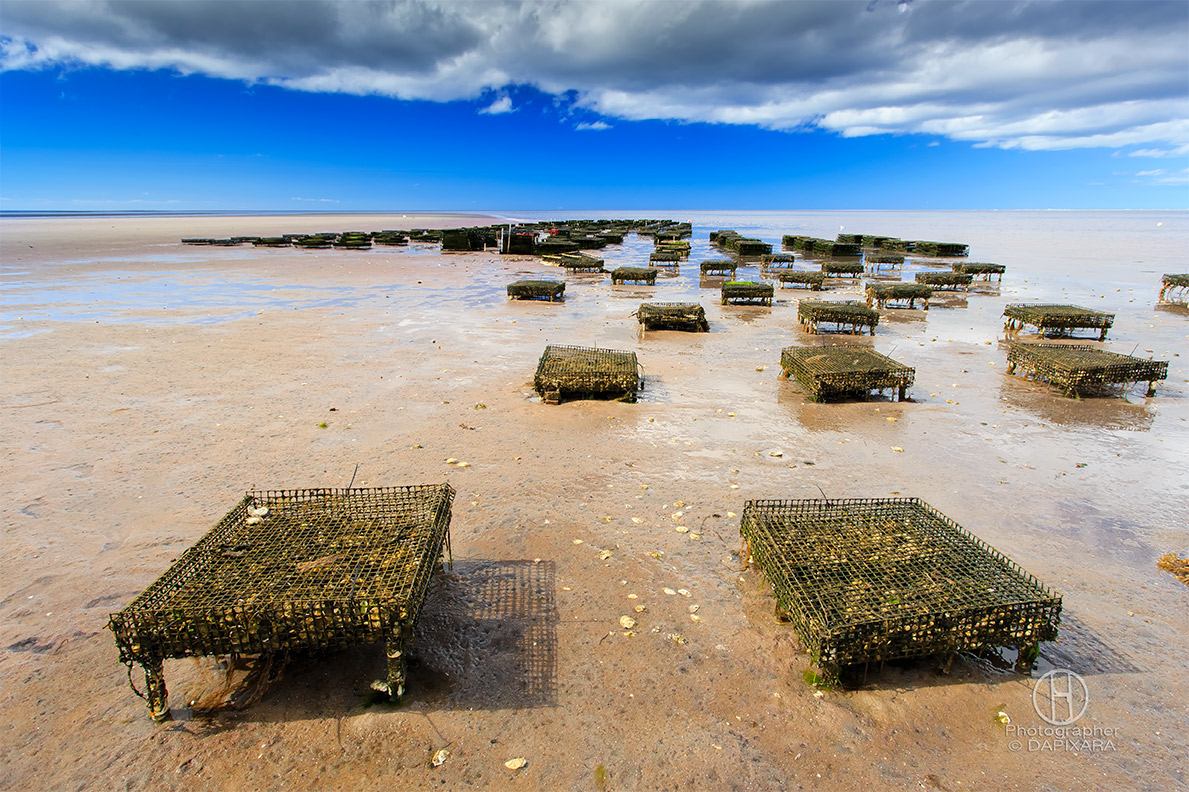 America's most beautiful tidal flats! Brewster, Cape Cod, Massachusetts. © 2014 Dapixara beach photography.