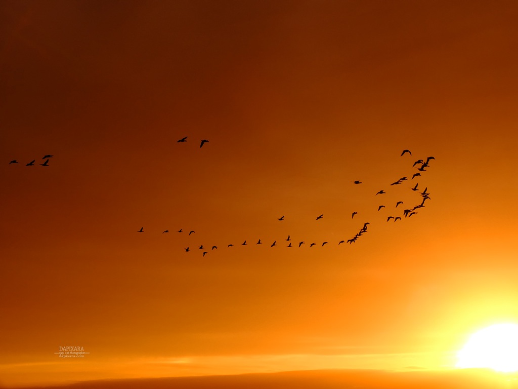 Truro, Massachusetts - Amazing Golden Sunset at Fisher Beach. Cape Cod photos by Dapixara https://dapixara.com