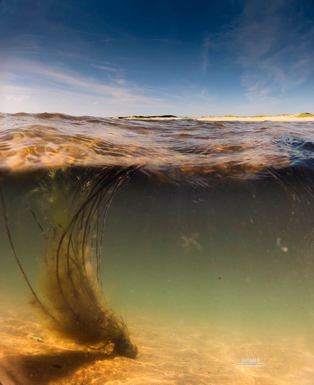Today is perfect for scuba underwater photography. Snorkeling near Wellfleet, Cape Cod. Dapixara photography 2016 summer.