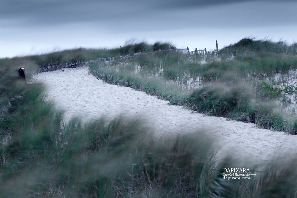 Windy and rainy day on the beaches in Cape Cod. https://dapixara.com