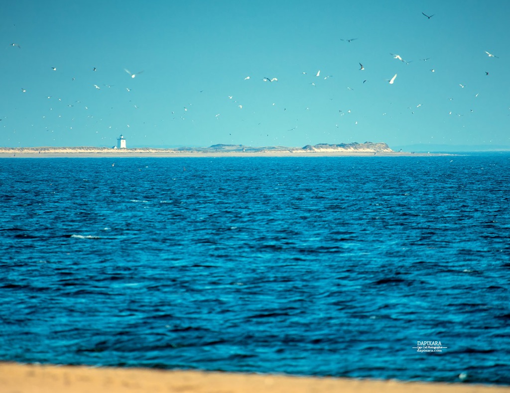 Wood End Lighthouse, Provincetown Massachusetts. Cape Cod Lighthouses © Dapixara.